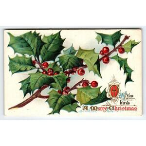 Vintage Christmas Postcard Holly Series No. 3 Embossed Holly Berries